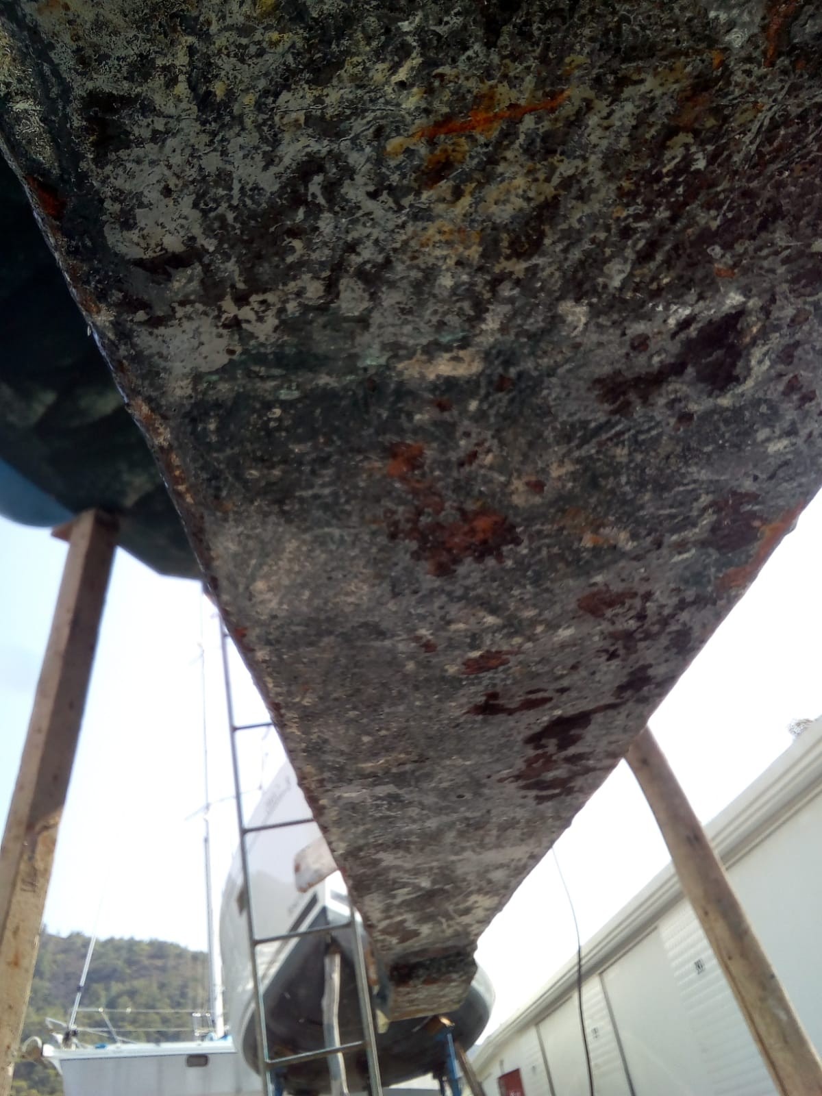 Antifouling Removal