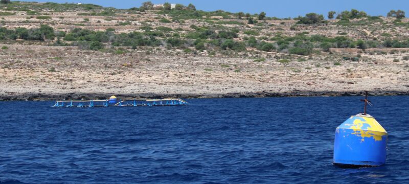 Fischzucht Malta