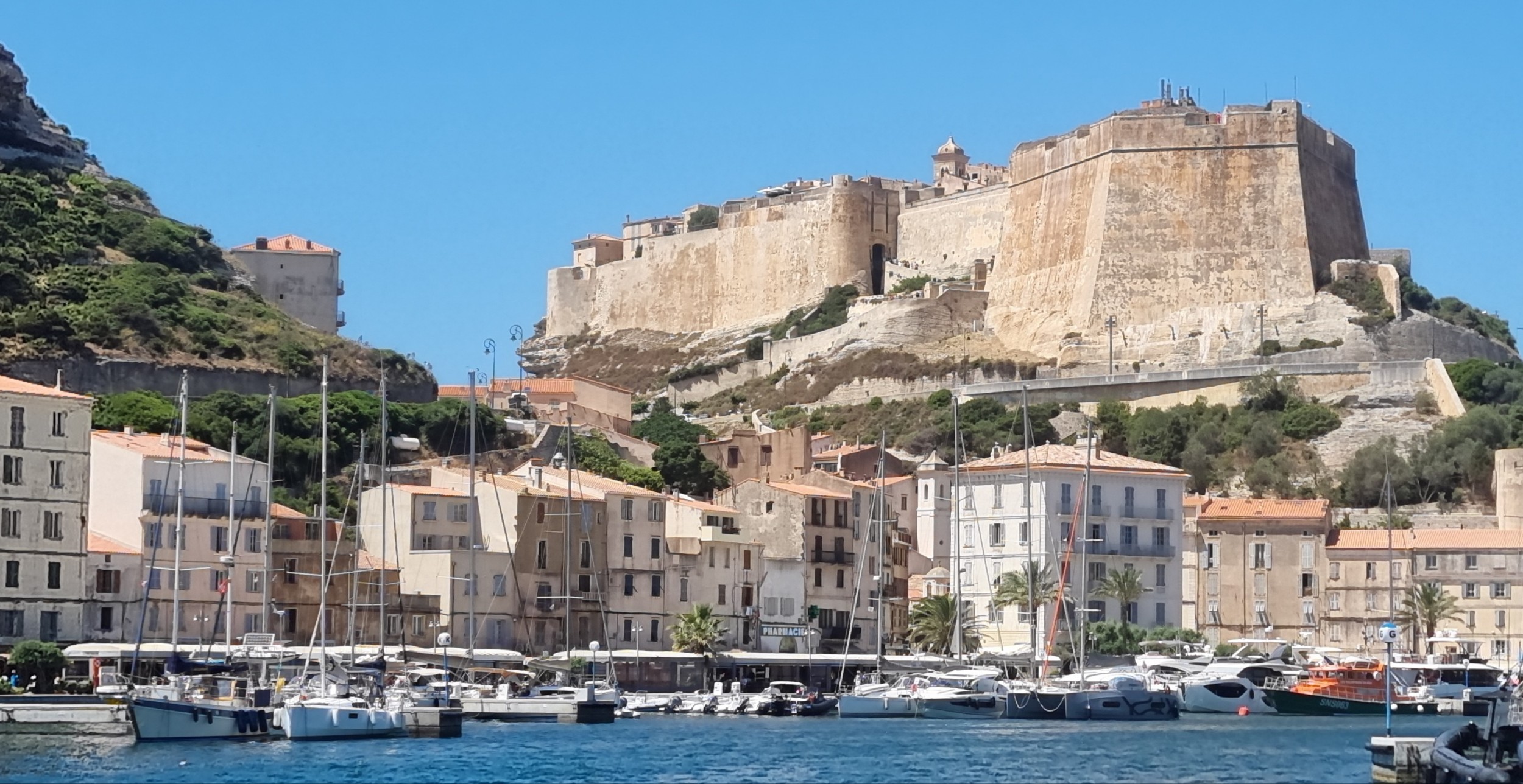 Sagarena in Bonifacio