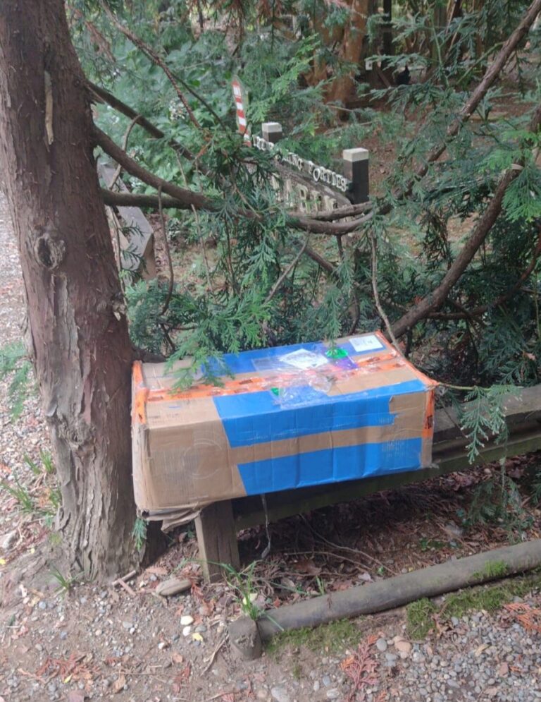 Victron Multiplus II 12/5000 ist in Chile angekommen